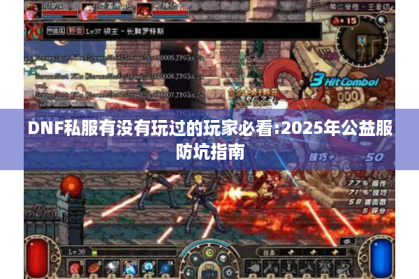 DNF私服有没有玩过的玩家必看:2025年公益服防坑指南