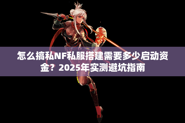 怎么搞私NF私服搭建需要多少启动资金？2025年实测避坑指南