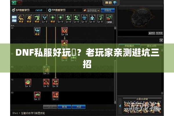 DNF私服好玩嚒？老玩家亲测避坑三招