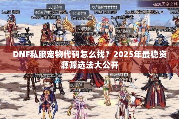 DNF私服宠物代码怎么找？2025年最稳资源筛选法大公开
